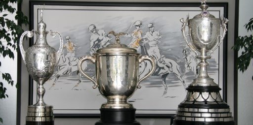Lee más sobre el artículo Polo: LA ASOCIACIÓN ARGENTINA DE POLO DIO A CONOCER LOS FIXTURES DE LA TRIPLE CORONA 2017