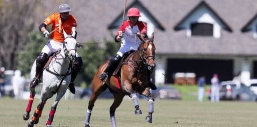 Lee más sobre el artículo Polo: COMENZÓ EL ABIERTO DE TORTUGAS 2017