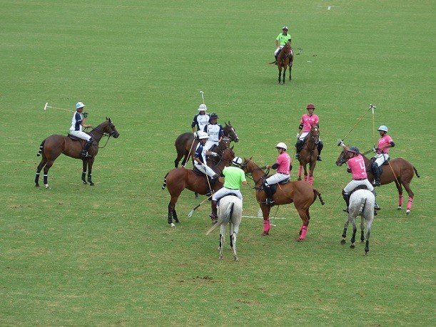 Lee más sobre el artículo Polo: TRIUNFOS DE CRÍA YATAY, ELLERSTINA, LA DOLFINA POLO RANCH Y LA DOLFINA SANCOR SEGUROS EN LA TERCERA FECHA DEL 125º ABIERTO DE PALERMO