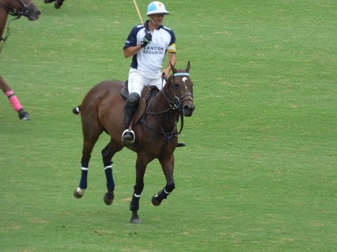 Lee más sobre el artículo Polo: PREMIOS DEPORTIVOS 2019