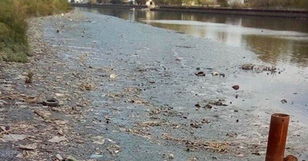 Lee más sobre el artículo Remo: REMEROS ARGENTINOS HOSPITALIZADOS TRAS ENTRENAR EN LA «CONTAMINADA» PISTA NACIONAL DE TIGRE