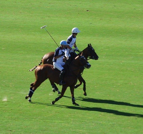 Lee más sobre el artículo Polo: LA FINAL DEL 125º ABIERTO DE PALERMO FUE POSTERGADA UN DÍA MÁS Y SE JUGARÁ EL DOMINGO