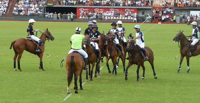 Lee más sobre el artículo Polo masculino: LA DOLFINA SANCOR SEGUROS GANÓ LA FINAL DEL 126° ABIERTO ARGENTINO DE POLO HSBC