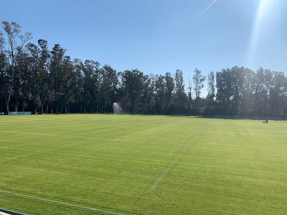 Lee más sobre el artículo Rugby masculino: LOS PUMAS REGRESARON A LAS PRÁCTICAS