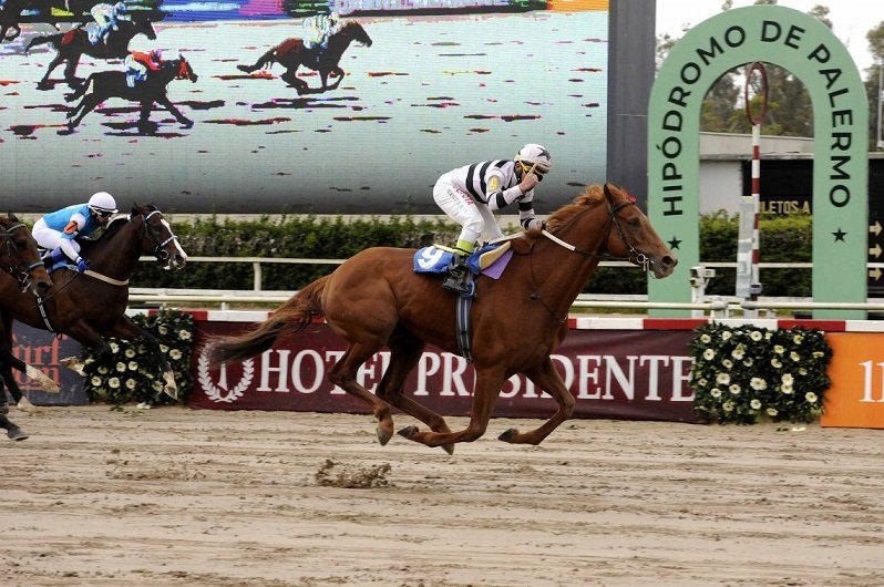 Lee más sobre el artículo Turf: EDICIÓN 30° DE «CARRERAS DE LAS ESTRELLAS» EN EL HIPÓDROMO DE PALERMO