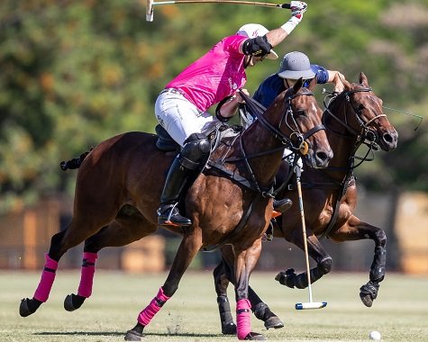 Lee más sobre el artículo Polo masculino: FINALIZÓ LA PRIMERA FECHA DE LA COPA CÁMARA DE DIPUTADOS 2020