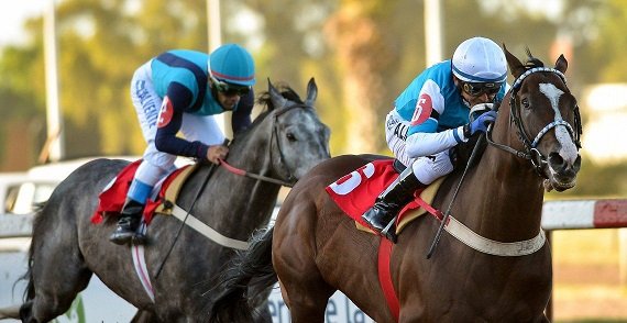 Lee más sobre el artículo Turf: EMOTION ORPEN GANÓ LA CENTÉSIMA EDICIÓN DEL GRAN PREMIO DARDO ROCHA