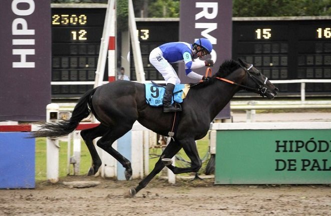 Lee más sobre el artículo Turf: GREAT ESCAPE FUE EL GANADOR DEL GRAN PREMIO NACIONAL