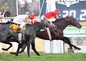 Lee más sobre el artículo Turf: VILLAGE KING SE ADJUDICÓ EL GRAN PREMIO 25 DE MAYO