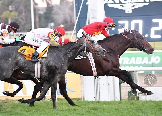 En este momento estás viendo Turf: VILLAGE KING SE ADJUDICÓ EL GRAN PREMIO 25 DE MAYO