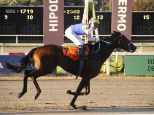 Lee más sobre el artículo Turf:  TETAZE GANÓ EL GRAN PREMIO REPÚBLICA ARGENTINA