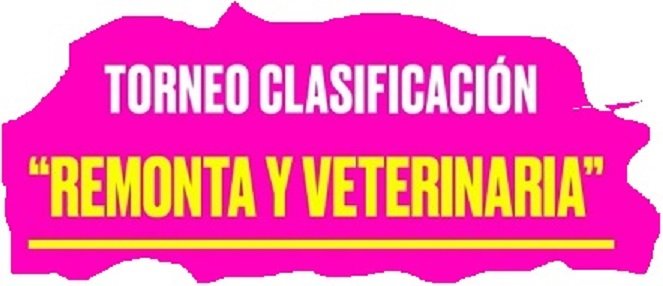 En este momento estás viendo Polo masculino: DEFINIERON LAS ZONAS PARA EL TORNEO CLASIFICATORIO 2021