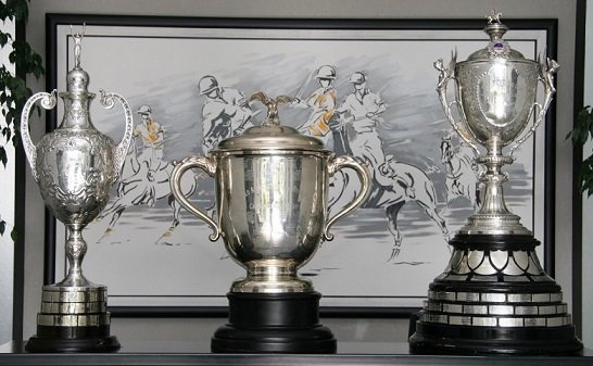 En este momento estás viendo Polo: PROCEDIMIENTO PARA EL ARMADO DE ZONAS DE LA TRIPLE CORONA 2021