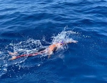 En este momento estás viendo Natación: DESIGNARON EL PLANTEL PARA EL SUDAMERICANO JUVENIL DE PERÚ