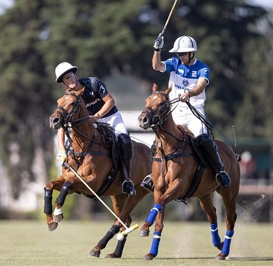 En este momento estás viendo Polo masculino: SEMIFINALES DEL ABIERTO DE TORTUGAS