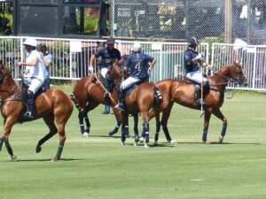 Lee más sobre el artículo Polo masculino: COMENZÓ EL 128° ARGENTINO ABIERTO HSBC DE PALERMO CON TRIUNFOS DE LA DOLFINA SAUDI Y LA ENSENADA