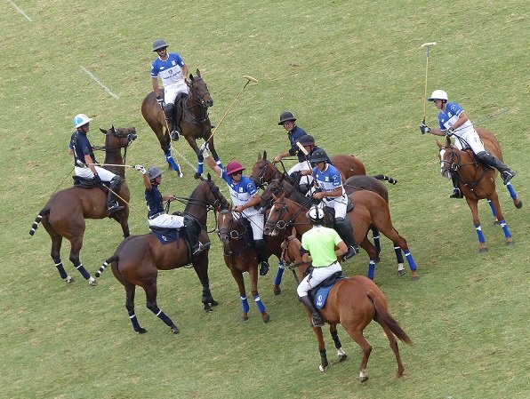 En este momento estás viendo Polo masculino: LA DOLFINA SAUDI VENCIÓ A ELLERSTINA JOHOR EN LA ETAPA CLASIFICACIÓN DEL ABIERTO DE PALERMO