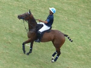 Lee más sobre el artículo Polo masculino: LA DOLFINA SAUDI Y LA NATIVIDAD DEFINIRÁN EL 128º ABIERTO ARGENTINO HSBC DE PALERMO