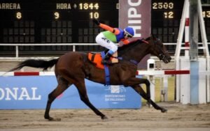 Lee más sobre el artículo Turf: IRWIN CON LA MONTA DE FERNÁNDES GONCALVES GANÓ EL GRAN PREMIO NACIONAL EN PALERMO