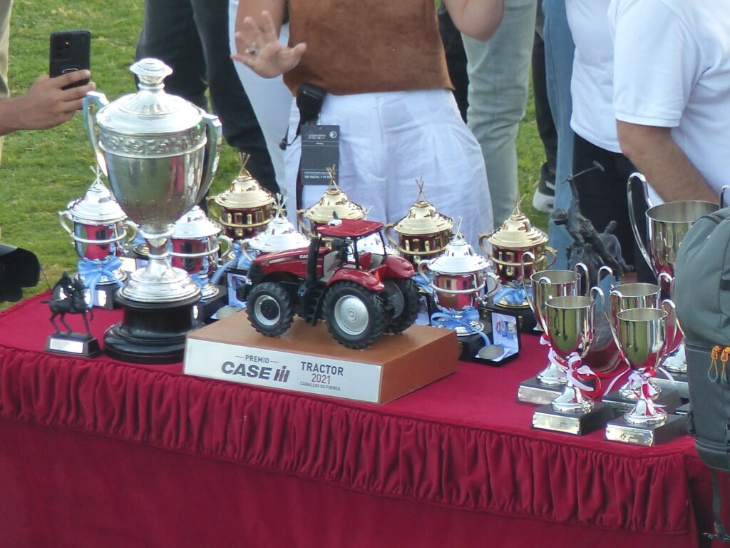 Polo masculino: PREMIOS DEL 128° ABIERTO ARGENTINO HSBC DE PALERMO
