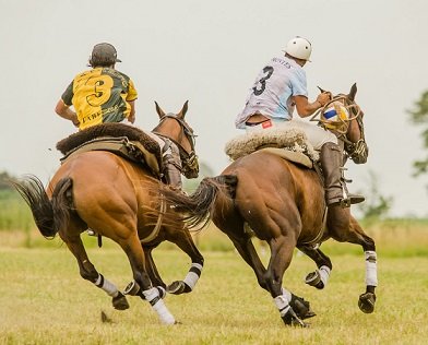 En este momento estás viendo Pato: SAN PATRICIO Y LOS MONTES LH SE PREPARAN PARA JUGAR LA FINAL DEL ABIERTO ARGENTINO