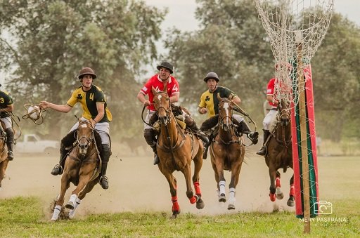 En este momento estás viendo Pato: PRIMER FECHA CLASIFICATORIA DEL ABIERTO ARGENTINO