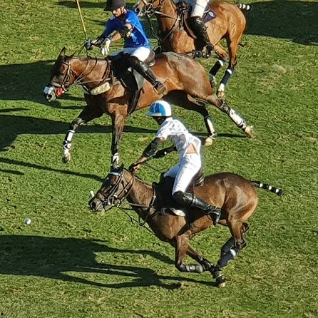 En este momento estás viendo Polo masculino: LA NATIVIDAD Y RS MURUS SANCTUS GANARON Y PELEARÁN POR EL PASE A LA FINAL DEL 128° ABIERTO ARGENTINO HSBC DE PALERMO