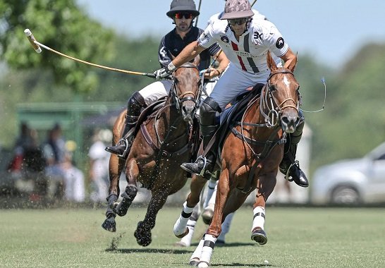 En este momento estás viendo Polo masculino: COPA CÁMARA DE DIPUTADOS 2021