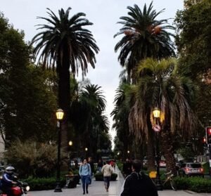 Lee más sobre el artículo Tenis de Mesa: CUENTA REGRESIVA PARA LOS PANAMERICANOS SUB 19 EN ROSARIO