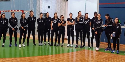 En este momento estás viendo Voley femenino: LAS PANTERAS Y UNA NUEVA ETAPA DE TRABAJO