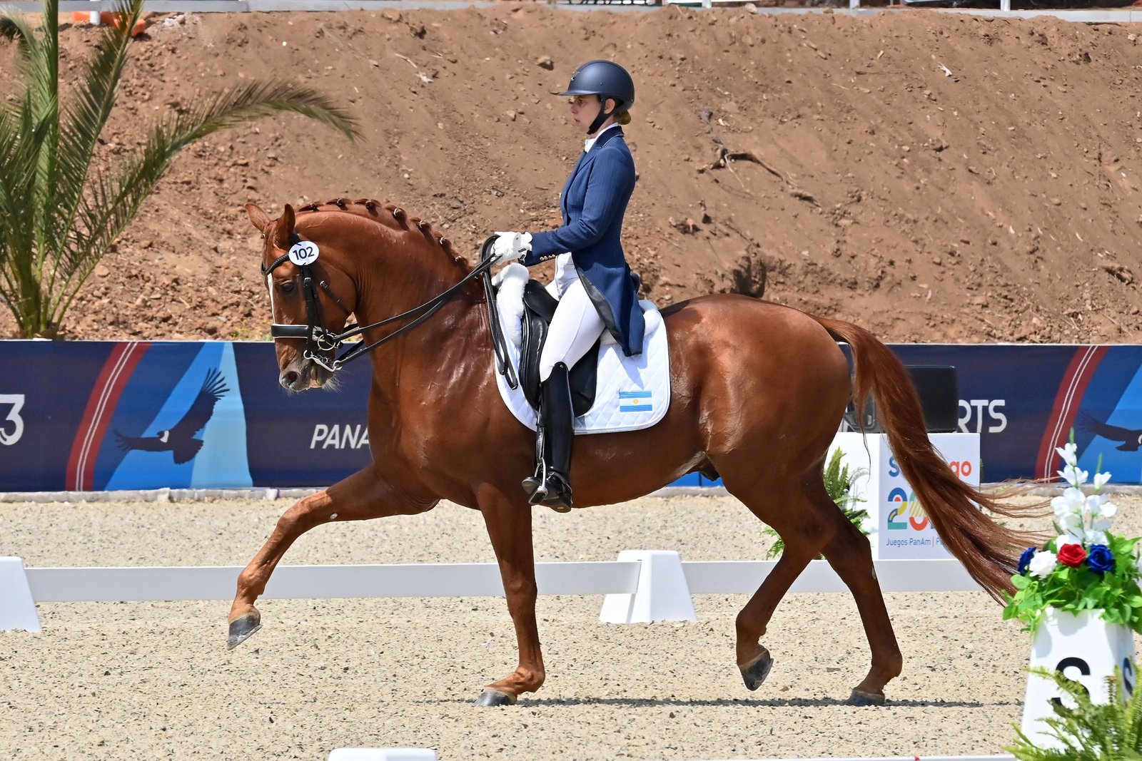 En este momento estás viendo JJPP Santiago 2023: ECUESTRE | ACTUACIÓN DE LOS ARGENTINOS EN ADIESTRAMIENTO