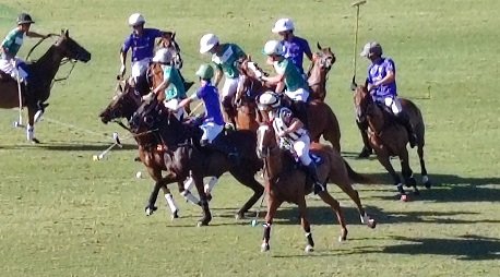 En este momento estás viendo Polo masculino: LA DOLFINA SAUDI Y LA NATIVIDAD SON LOS FINALISTAS DEL 103° ABIERTO DE PALERMO