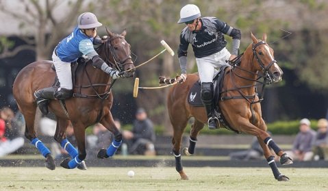 En este momento estás viendo Polo masculino: TRIUNFOS DE LA HACHE LA ROCA, CRÍA LA DOLFINA, LA ENSENADA BRUBANK Y ELLERSTINA YELLOW ROSE EN EL COMIENZO DEL 130° ABIERTO DE PALERMO
