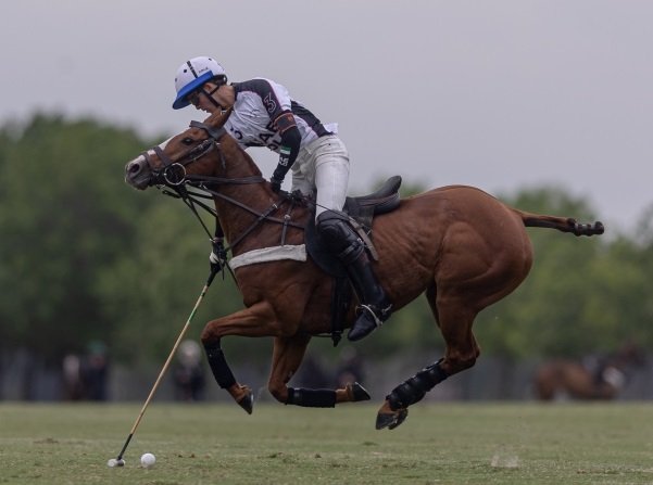 En este momento estás viendo Polo masculino: EL OVERO Z7 UAE GANÓ EL REPECHAJE Y ESTÁ PRECLASIFICADO A LA TRIPLE CORONA DE LA PRÓXIMA TEMPORADA