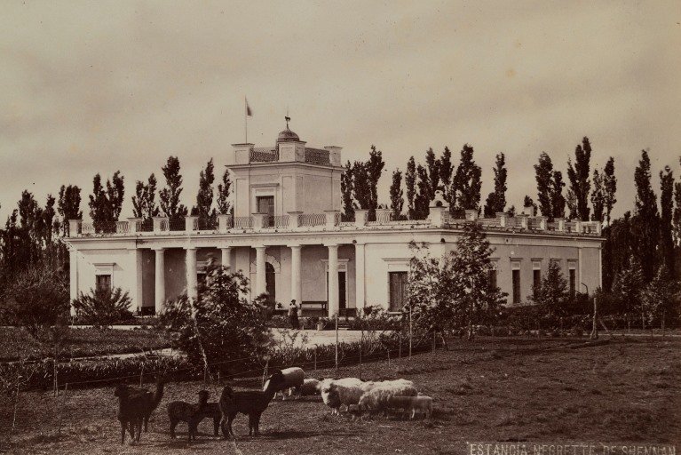 En este momento estás viendo Polo: UN SIGLO Y MEDIO DEL MEJOR POLO DEL MUNDO
