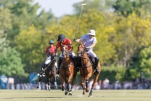 Lee más sobre el artículo Polo masculino: ABIERTO DE TORTUGAS | EMPEZÓ LA COMPETENCIA CON VICTORIAS DE LA NATIVIDAD LA DOLFINA Y LOS MACHITOS EL REFUGIO