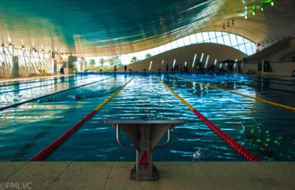 Lee más sobre el artículo Natación: DELFINA PIGNATIELLO Y UN NUEVO RÉCORD ARGENTINO