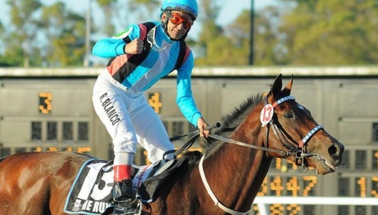 Turf: PREMIOS CARLOS PELLEGRINI 2016