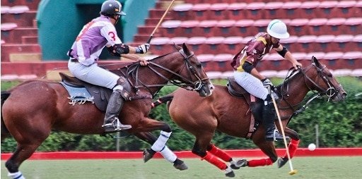 Lee más sobre el artículo Polo: COPA DE ORO 2016 SE JUGARÁ EN PALERMO Y EN PILAR