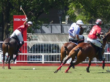 Lee más sobre el artículo Polo: LA DOLFINA Y ELLERSTINA A SEMIS; LA AGUADA-CRÍA YATAY Y ALEGRÍA-LA IRENITA JUGARÁN EN CUARTOS DE FINAL