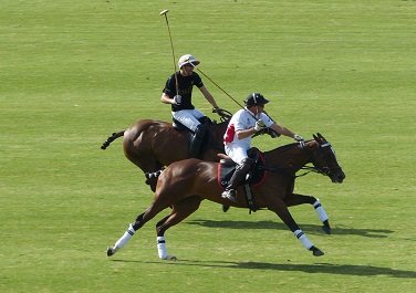 Lee más sobre el artículo Polo: LA DOLFINA Y LA AGUADA GANARON Y DEFINIRÁN AL PRIMER FINALISTA DEL CERTAMEN
